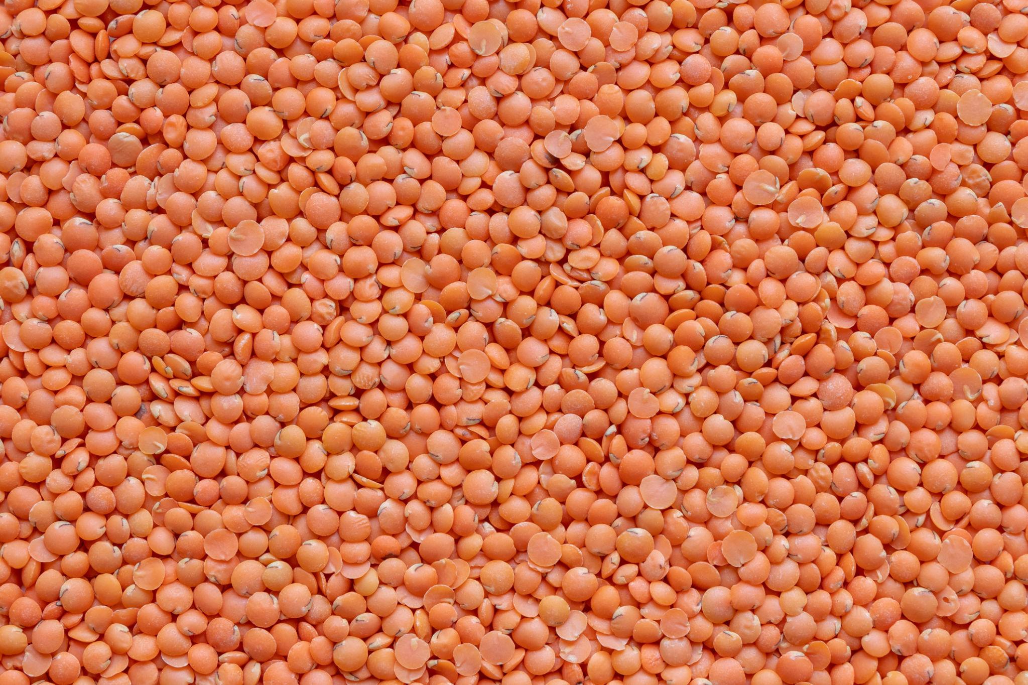 Masoor Dal commodity image